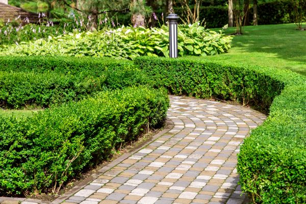 Paved Landscaping in Evans