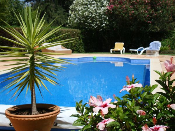 Pool Terrace Renovation in Evans