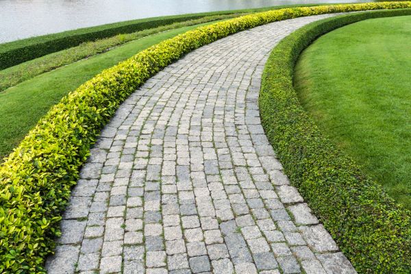 Sidewalk Pavers Installation in Evans